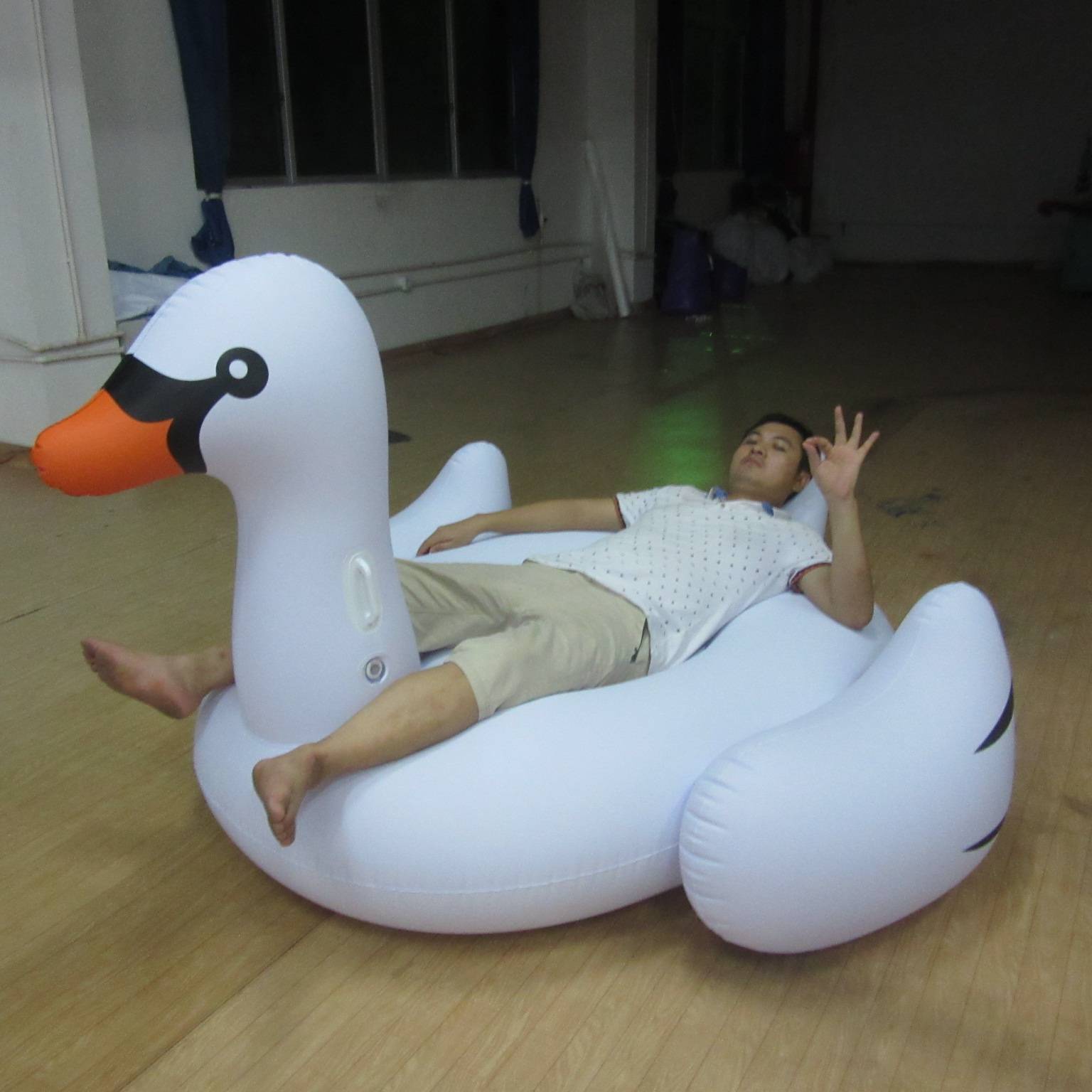Inflatable swan float