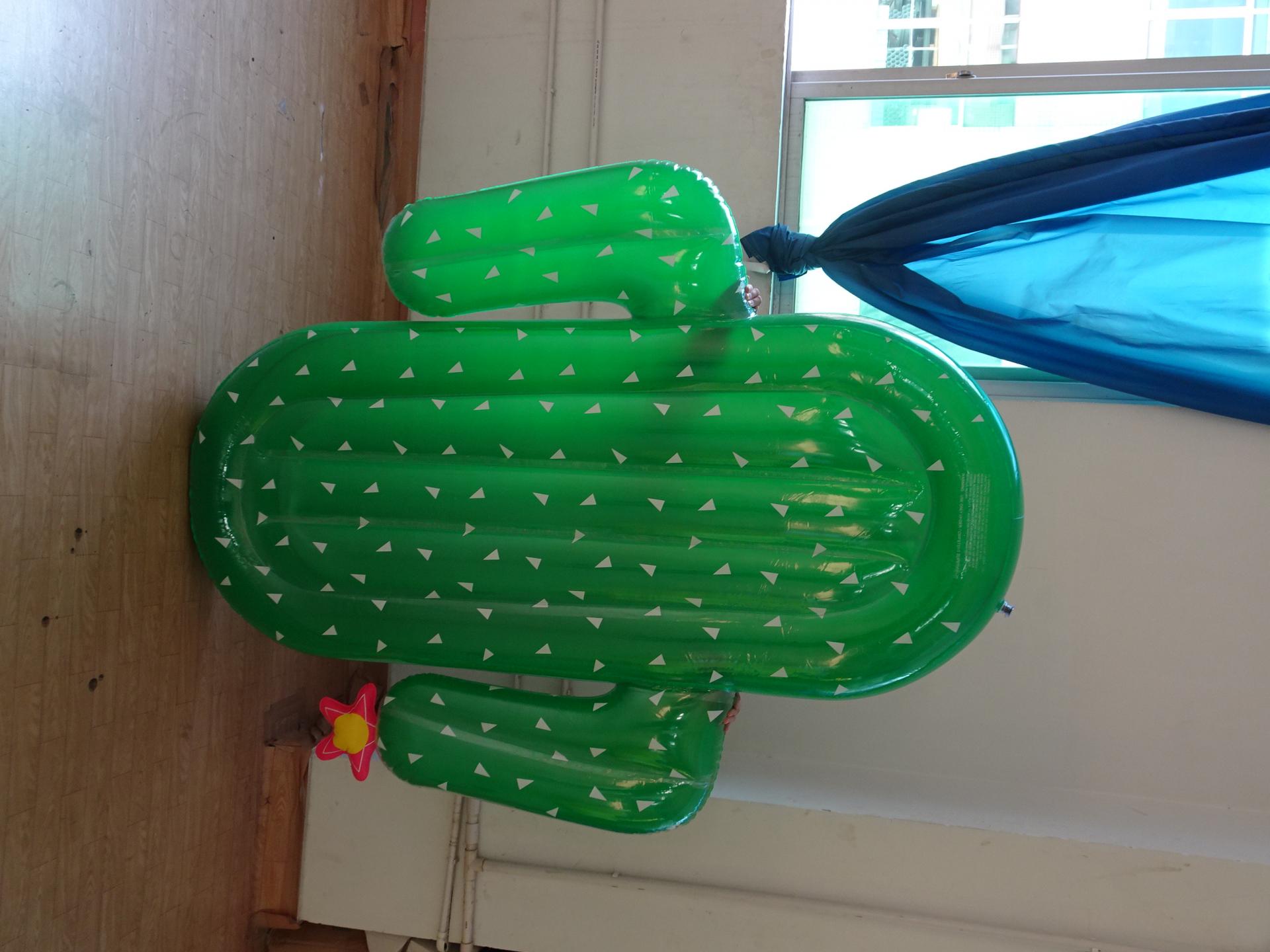 Inflatable Customized 0.3MM PVC Green Cactus Float