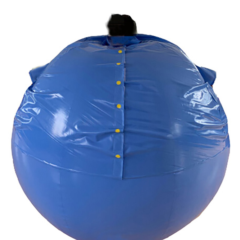 Customised Adult Halloween Party Creative Advertising Inflatable Suit Blueberry,Inside Human Shape